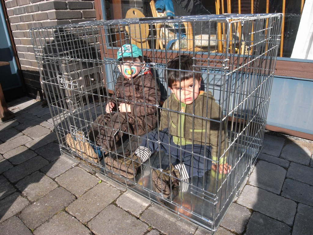 Kids in a cage.